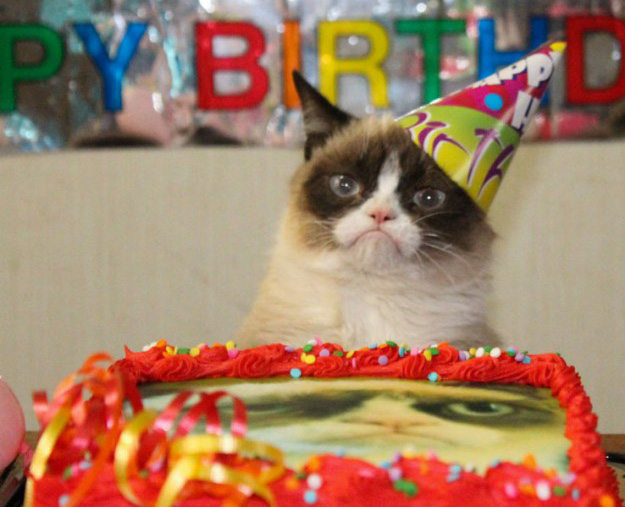 Grumpy-Cat