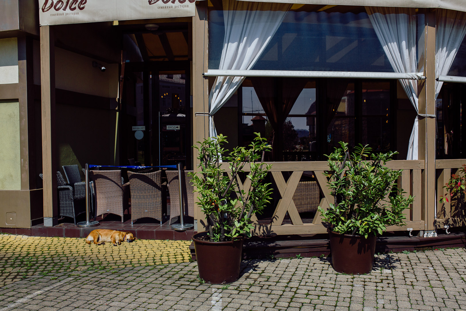 sochi_067